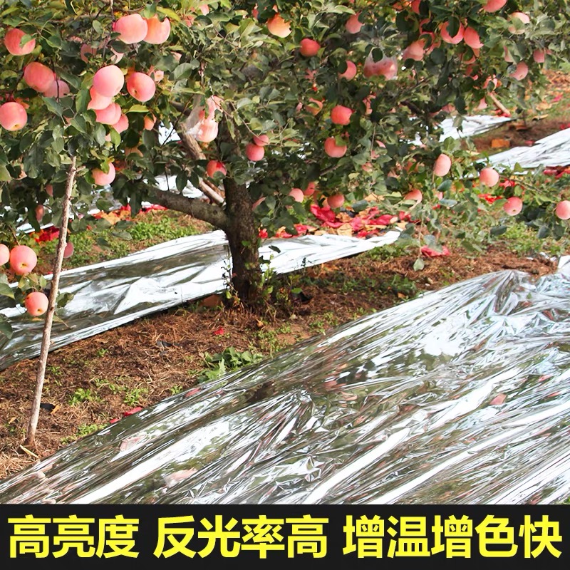舟山市地膜果树反光膜 - 价格